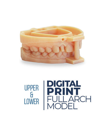 Digital Print Full Arch Model (Upper&Lower)